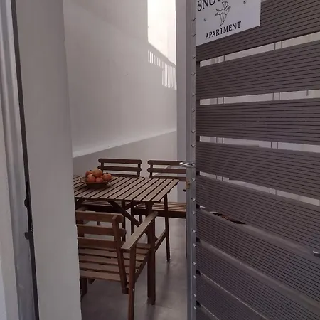 Snowbird-late Check-out Apartment